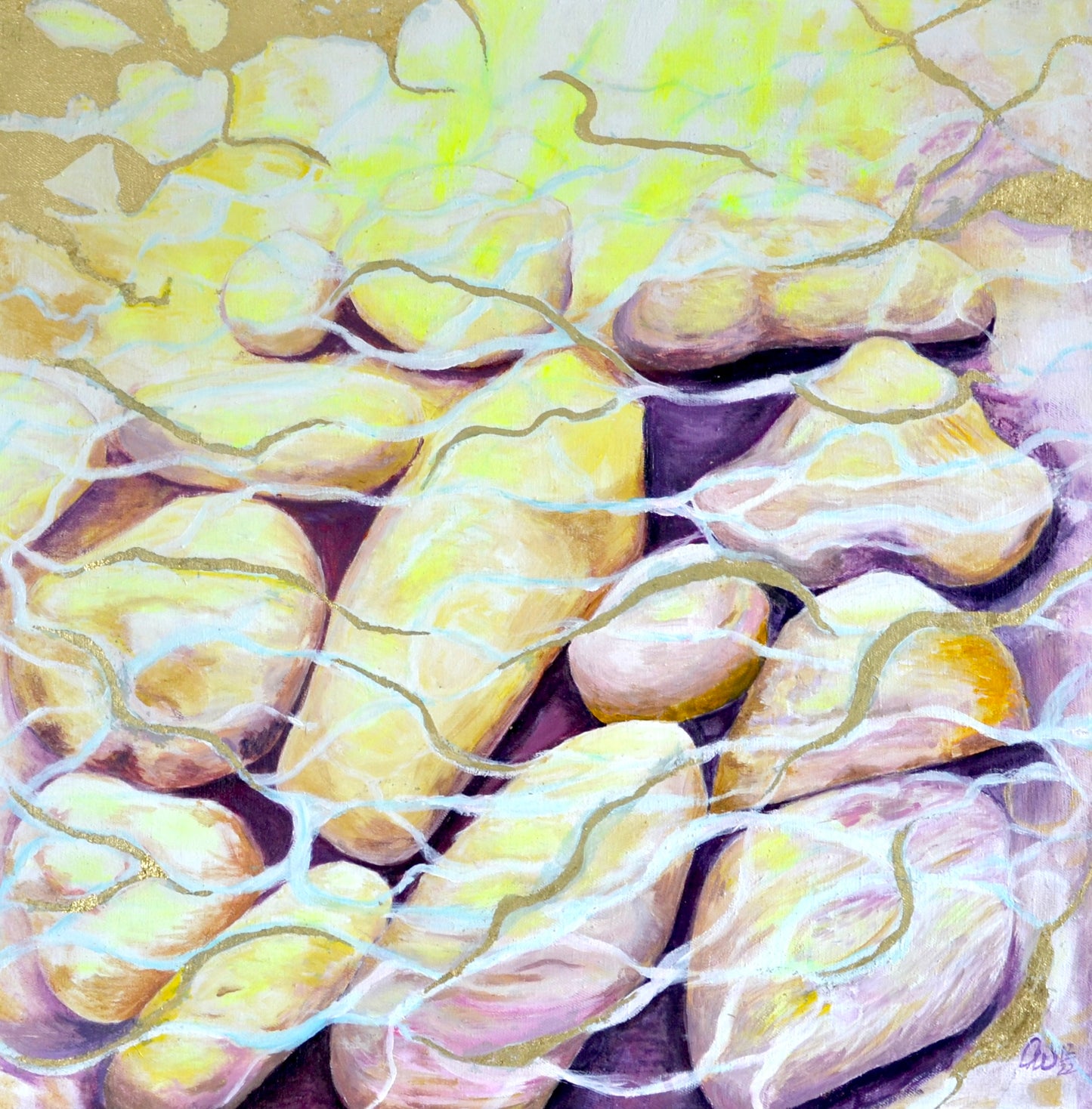 Stones of the desert