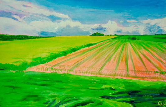 Fields in spring